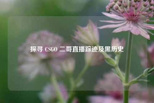 探寻 CSGO 二哥直播踪迹及黑历史