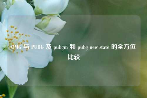 OMG 与 PUBG 及 pubgm 和 pubg new state 的全方位比较