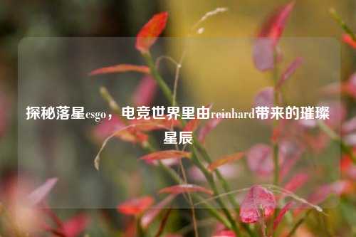 探秘落星csgo,电竞世界里由reinhard带来的璀璨星辰