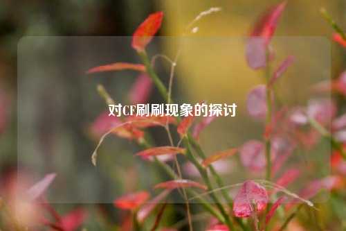 对CF刷刷现象的探讨