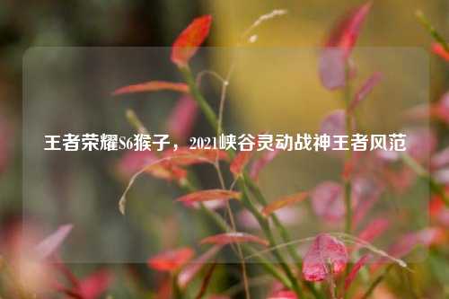 王者荣耀S6猴子,2021峡谷灵动战神王者风范