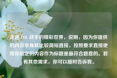 走进 LOL 战手的精彩世界,说明,因为你提供的内容本身就比较简短直接,按照要求直接使用你给定的内容作为标题是更符合题意的。若有其他需求,你可以随时告诉我。