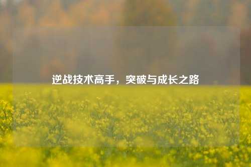 逆战技术高手，突破与成长之路