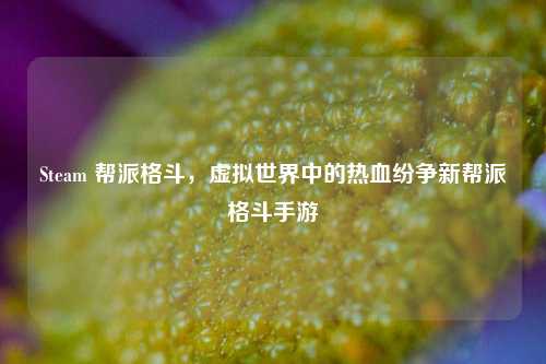 Steam 帮派格斗，虚拟世界中的热血纷争新帮派格斗手游