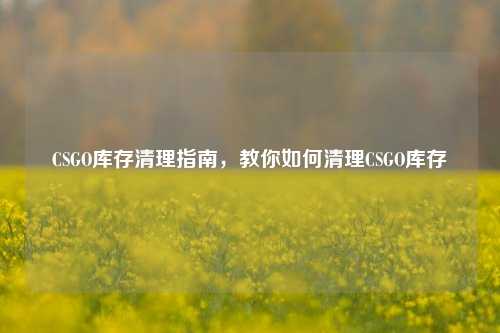 CSGO库存清理指南，教你如何清理CSGO库存