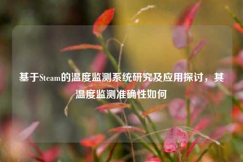 基于Steam的温度监测系统研究及应用探讨,其温度监测准确性如何