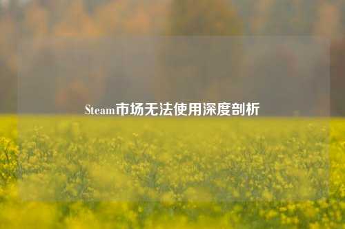 Steam市场无法使用深度剖析