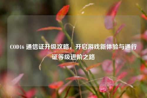 COD16 通信证升级攻略,开启游戏新体验与通行证等级进阶之路