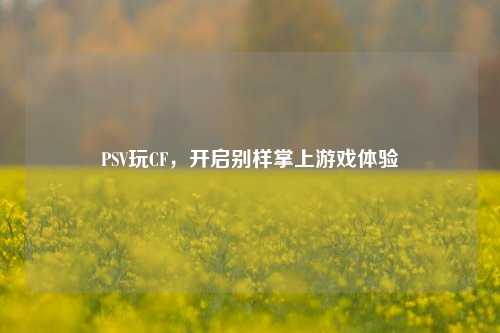 PSV玩CF，开启别样掌上游戏体验