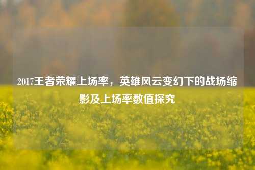 2017王者荣耀上场率,英雄风云变幻下的战场缩影及上场率数值探究