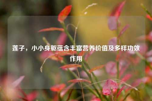 莲子，小小身躯蕴含丰富营养价值及多样功效作用