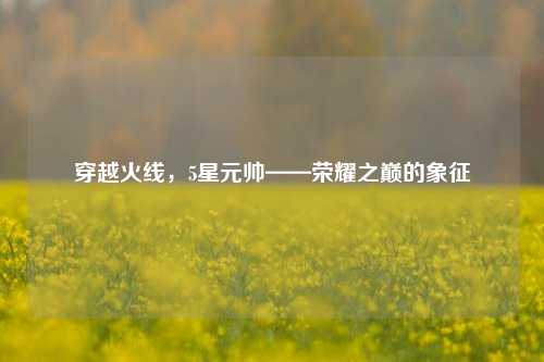 穿越火线,5星元帅——荣耀之巅的象征
