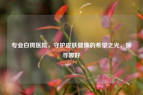 专业白斑医院，守护皮肤健康的希望之光，探寻哪好