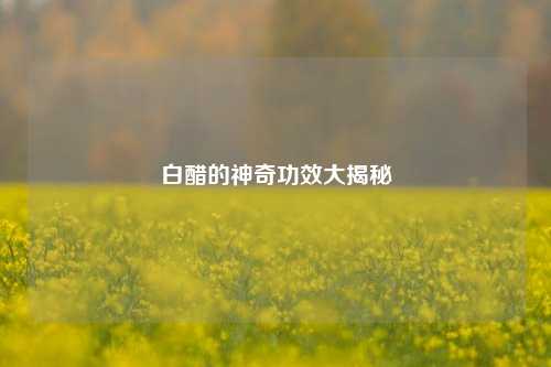 白醋的神奇功效大揭秘