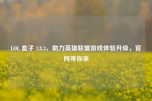 LOL 盒子 3.8.3，助力英雄联盟游戏体验升级，官网等你来