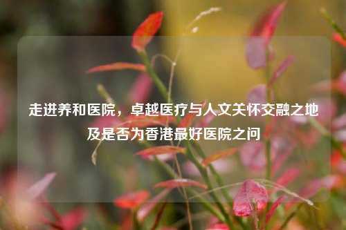 走进养和医院,卓越医疗与人文关怀交融之地及是否为香港更好医院之问
