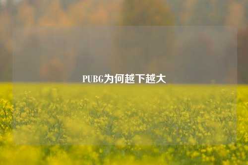 PUBG为何越下越大