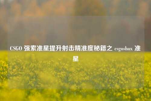 CSGO 强索准星提升射击精准度秘籍之 csgoshox 准星