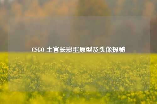 CSGO 土官长彩蛋原型及头像探秘