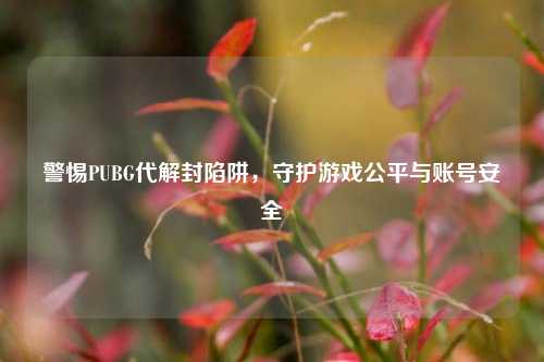 警惕PUBG代解封陷阱,守护游戏公平与账号安全