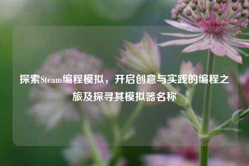 探索Steam编程模拟,开启创意与实践的编程之旅及探寻其模拟器名称