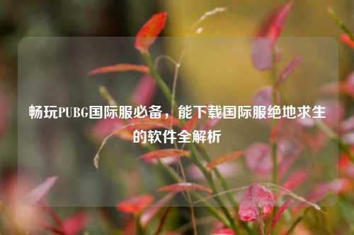 畅玩PUBG国际服必备,能下载国际服绝地求生的软件全解析