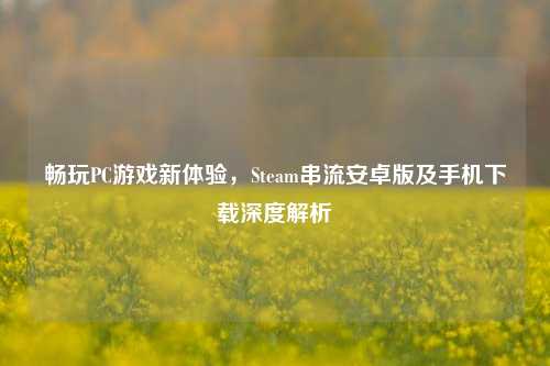 畅玩PC游戏新体验,Steam串流安卓版及手机下载深度解析