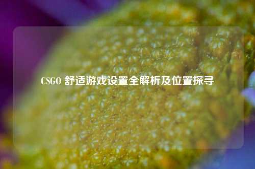 CSGO 舒适游戏设置全解析及位置探寻