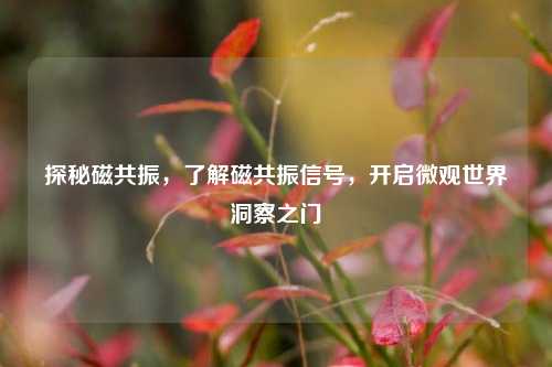探秘磁共振，了解磁共振信号，开启微观世界洞察之门