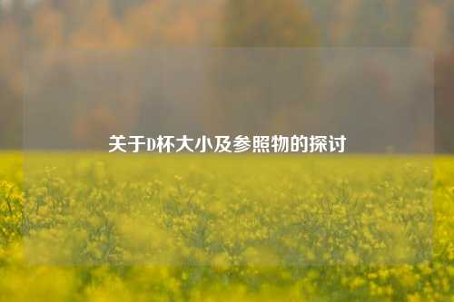 关于D杯大小及参照物的探讨