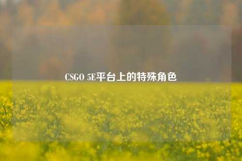 CSGO 5E平台上的特殊角色