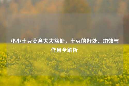 小小土豆蕴含大大益处,土豆的好处、功效与作用全解析