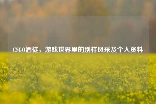 CSGO酒徒，游戏世界里的别样风采及个人资料