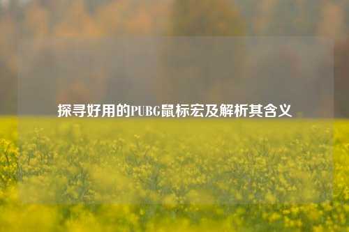 探寻好用的PUBG鼠标宏及解析其含义