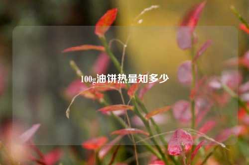 100g油饼热量知多少