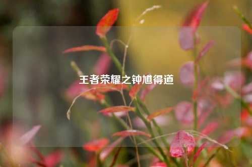 王者荣耀之钟馗得道