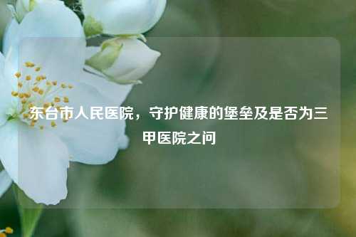东台市人民医院，守护健康的堡垒及是否为三甲医院之问