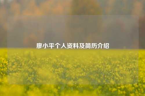 廖小平个人资料及简历介绍