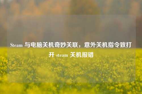Steam 与电脑关机奇妙关联,意外关机指令致打开 steam 关机报错