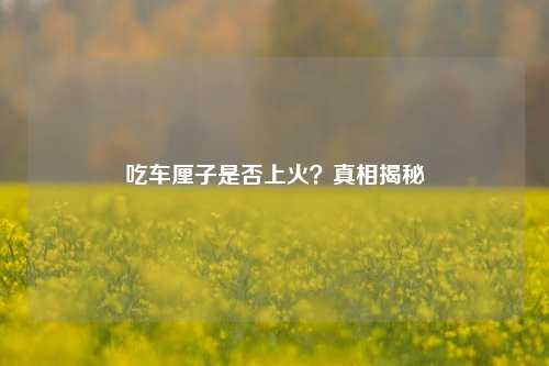 吃车厘子是否上火?真相揭秘