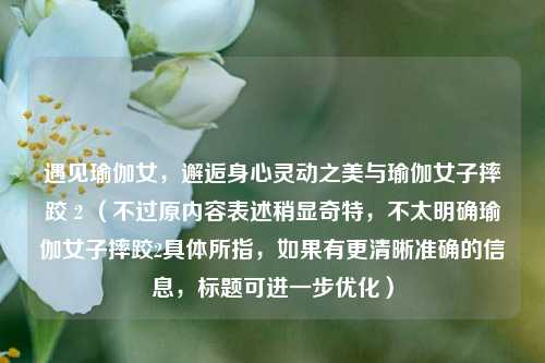 遇见瑜伽女,邂逅身心灵动之美与瑜伽女子摔跤 2 (不过原内容表述稍显奇特,不太明确瑜伽女子摔跤2具体所指,如果有更清晰准确的信息,标题可进一步优化)