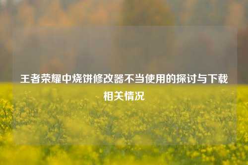 王者荣耀中烧饼修改器不当使用的探讨与下载相关情况