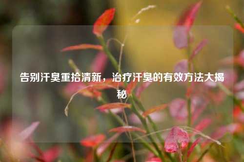 告别汗臭重拾清新，治疗汗臭的有效 *** 大揭秘