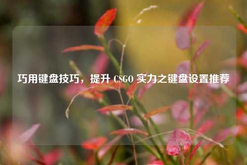 巧用键盘技巧,提升 CSGO 实力之键盘设置推荐