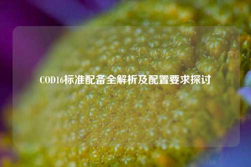 COD16标准配备全解析及配置要求探讨