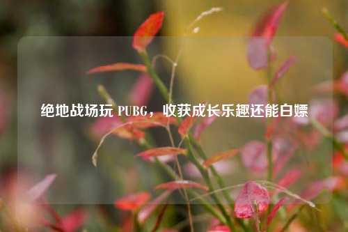 绝地战场玩 PUBG，收获成长乐趣还能白嫖