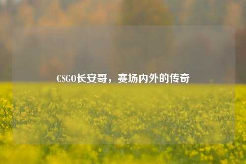 CSGO长安哥,赛场内外的传奇