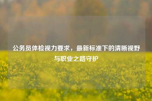 公务员体检视力要求,最新标准下的清晰视野与职业之路守护