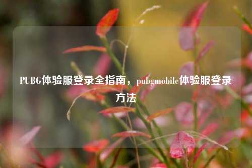 PUBG体验服登录全指南，pubgmobile体验服登录 *** 