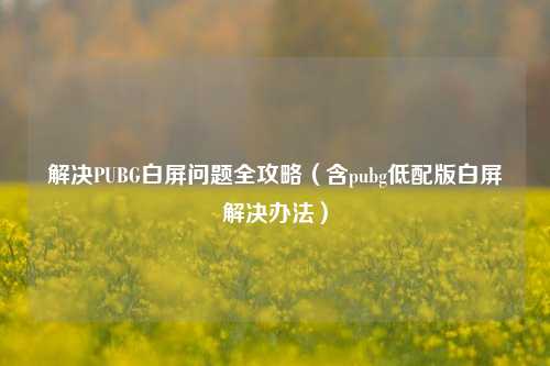 解决PUBG白屏问题全攻略（含pubg低配版白屏解决办法）